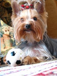 IMG_4796.JPG