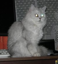DSCN0497.JPG