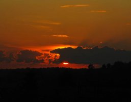 __IMG_2194.jpg