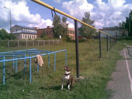 15082009(001).jpg