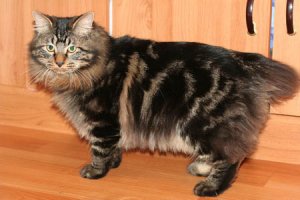 IMG_5443_resize.JPG