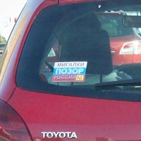 100_0352_crop.jpg