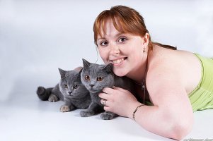 кошки.jpg