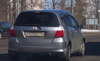 фитледи.jpg