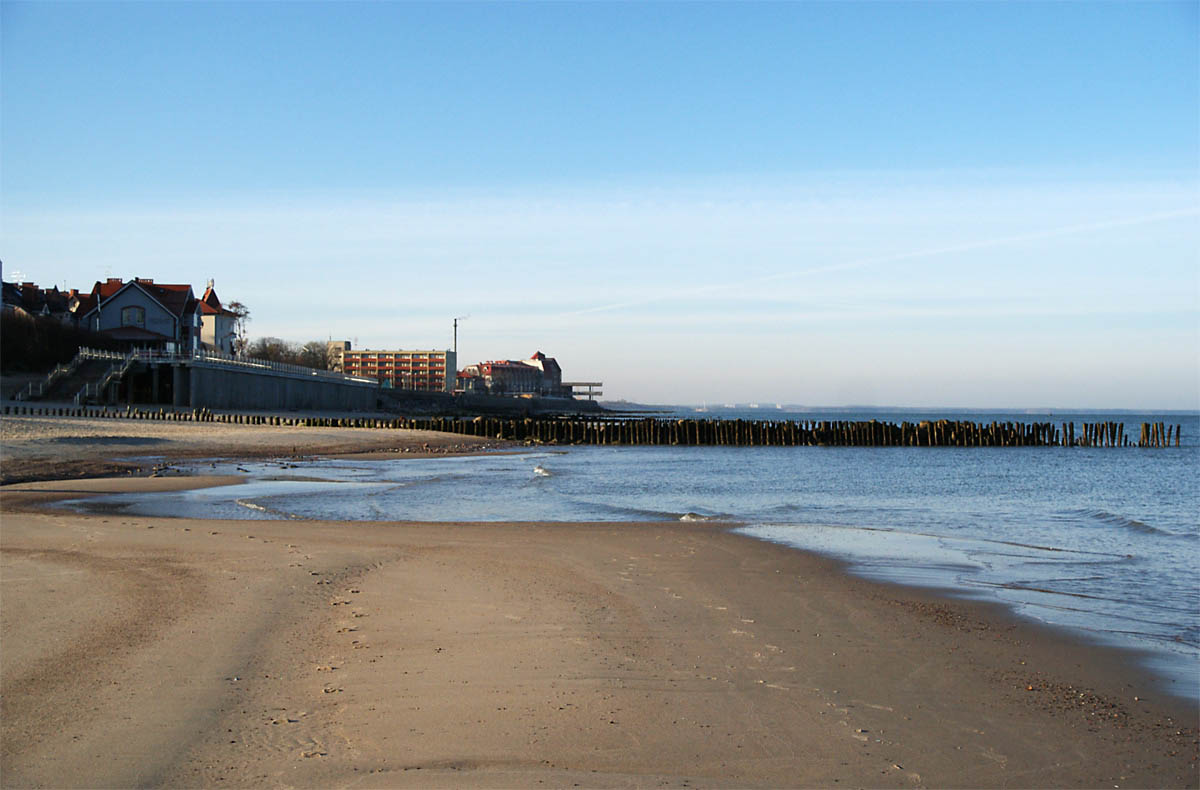 3715.jpg