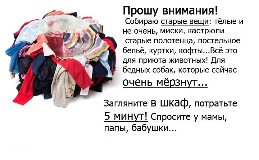 q0zqvg97XzY.jpg