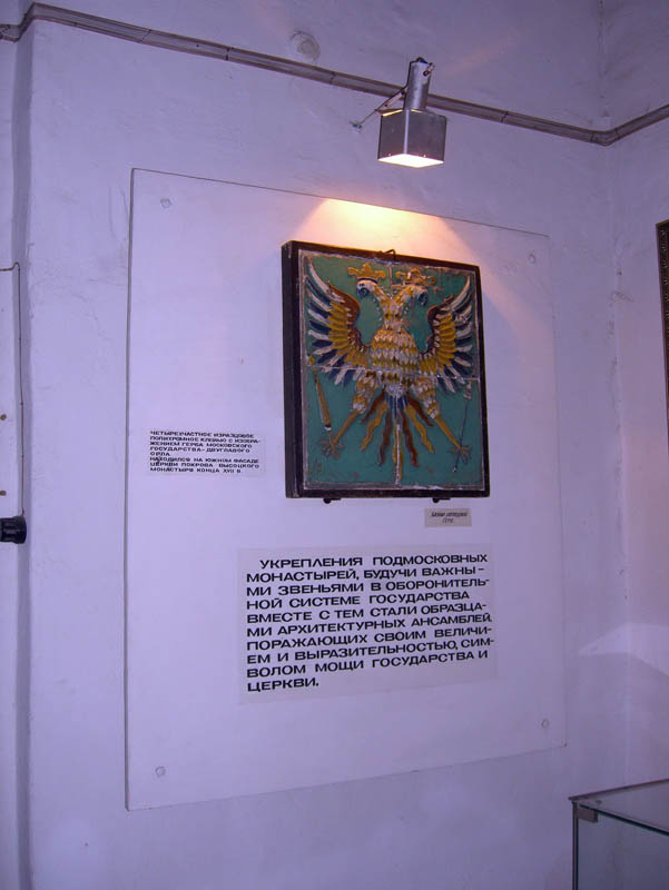 1355.jpg