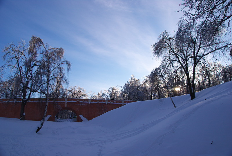 4451.jpg