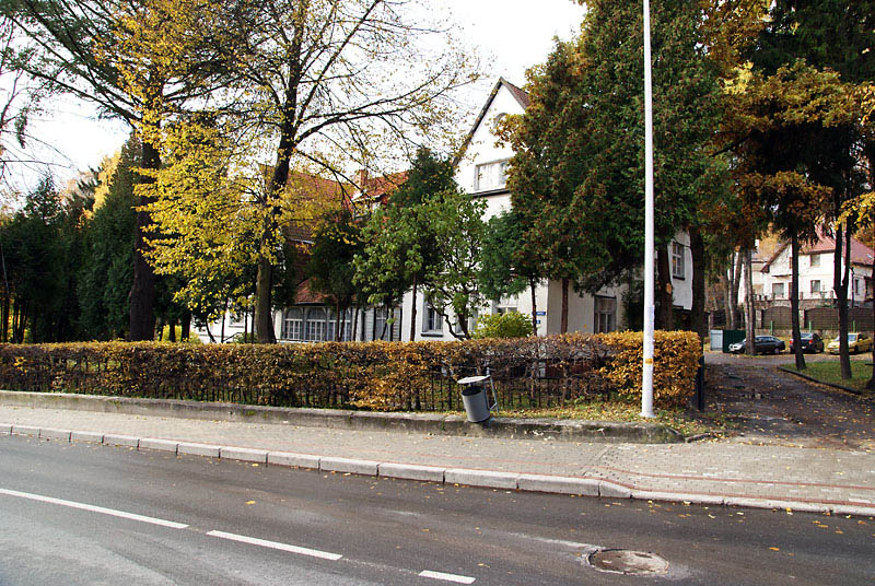 3797.jpg