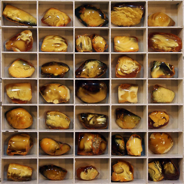 3740.jpg