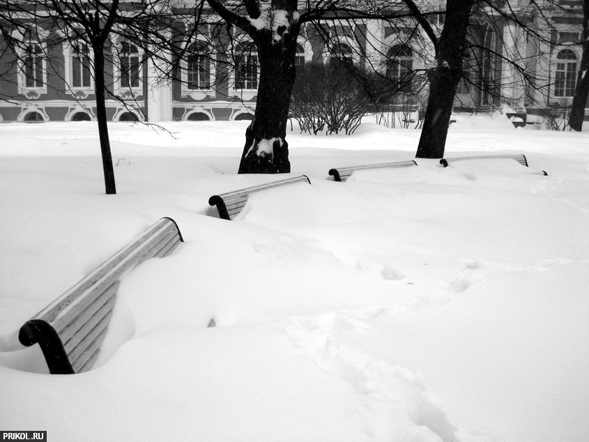 sankt-peterburg-in-snow-09.jpg