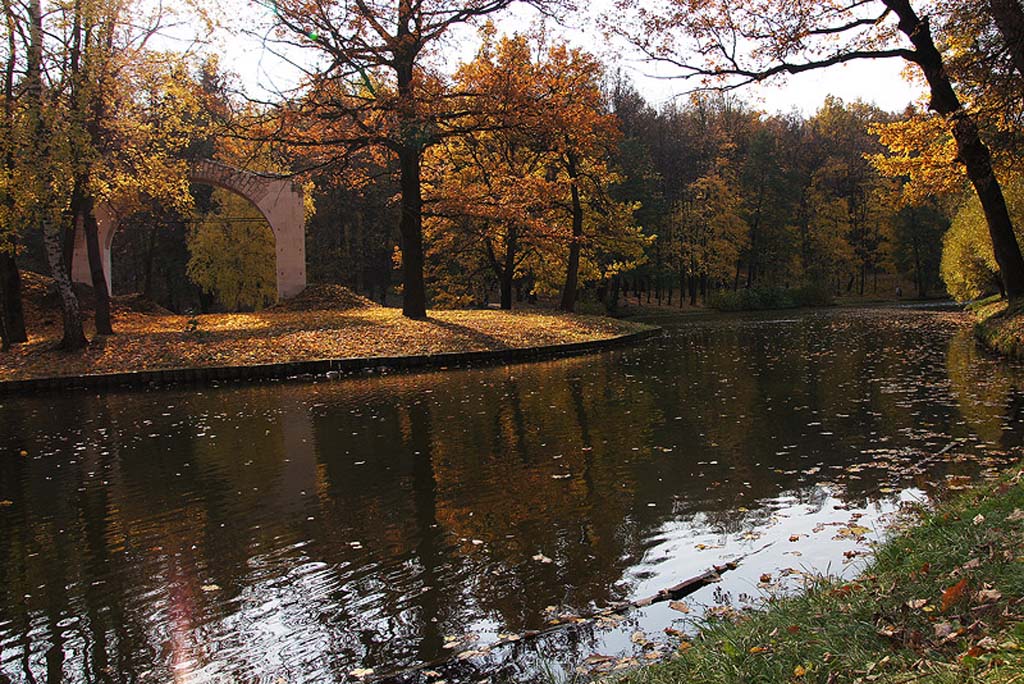 4700.jpg