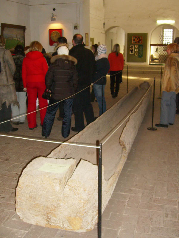 1358.jpg